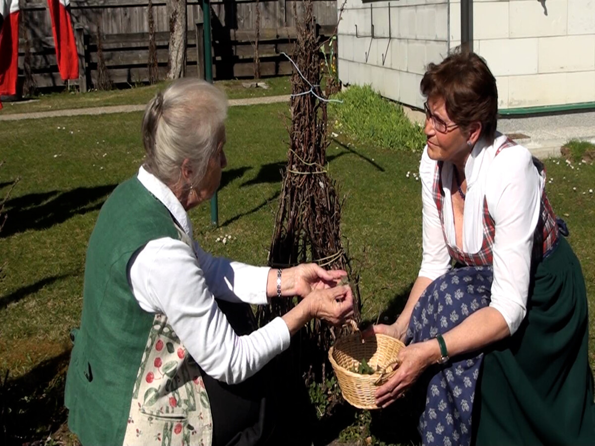 Mit der Brennnessel in den Frühling starten